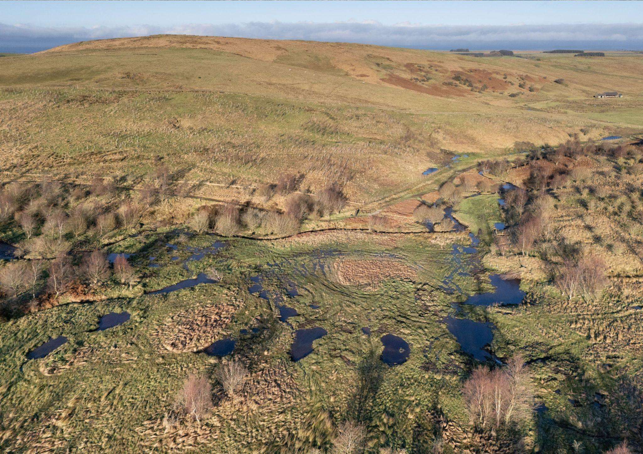 Geltsdale