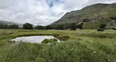 IMG 20250617 WA0021 bd21f27d132b5a059b56f14430f7220c