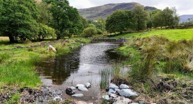 IMG 20250910 WA0010 1