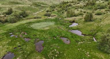 IMG 20260204 WA0013 1