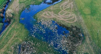 Wydon Farm Wetland Restoration Northumberland Tyne Rivers Trust