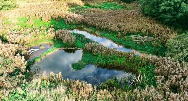 Original 9eb2b73e 97ad 4ee0 9940 b3dbdafa229d IMG 20251029 WA0004