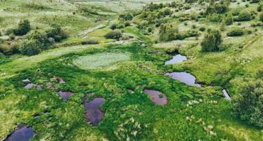 IMG 20260204 WA0013 1 bd21f27d132b5a059b56f14430f7220c