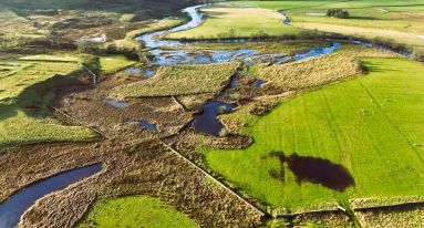 IMG 20251202 WA0022 1